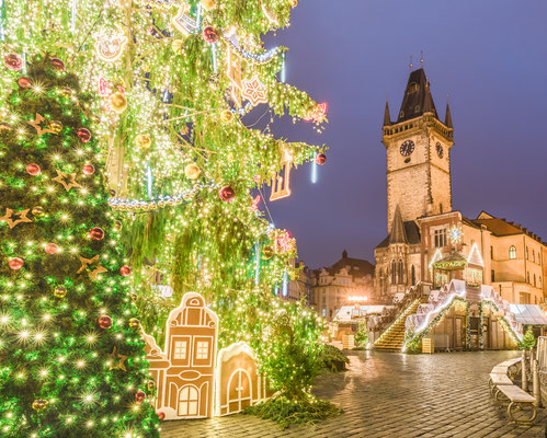 Christmas tree in magical city of Prague at night, Czech Republic - By Balate Dorin