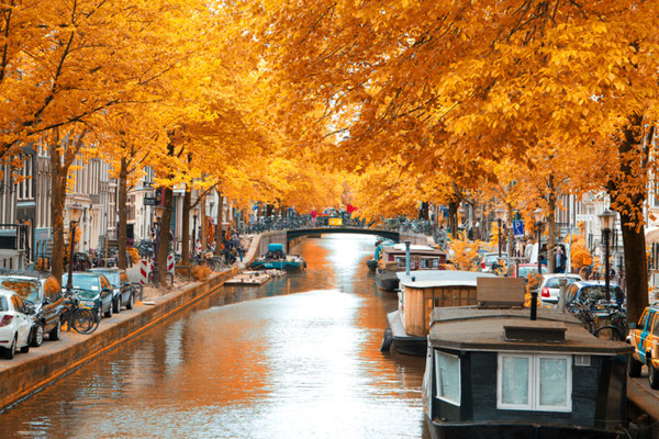 Amsterdam European Best Destinations - Copyright Skreidzeleu
