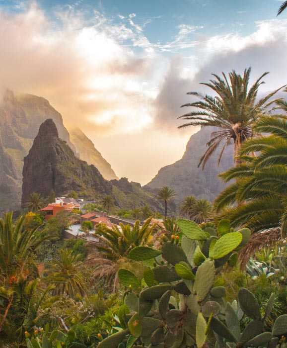 tenerife-island-l-best-destinations-for-nature-lovers